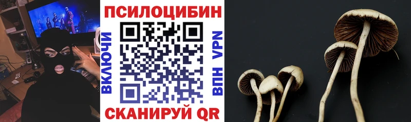 Галлюциногенные грибы Cubensis  Невельск 